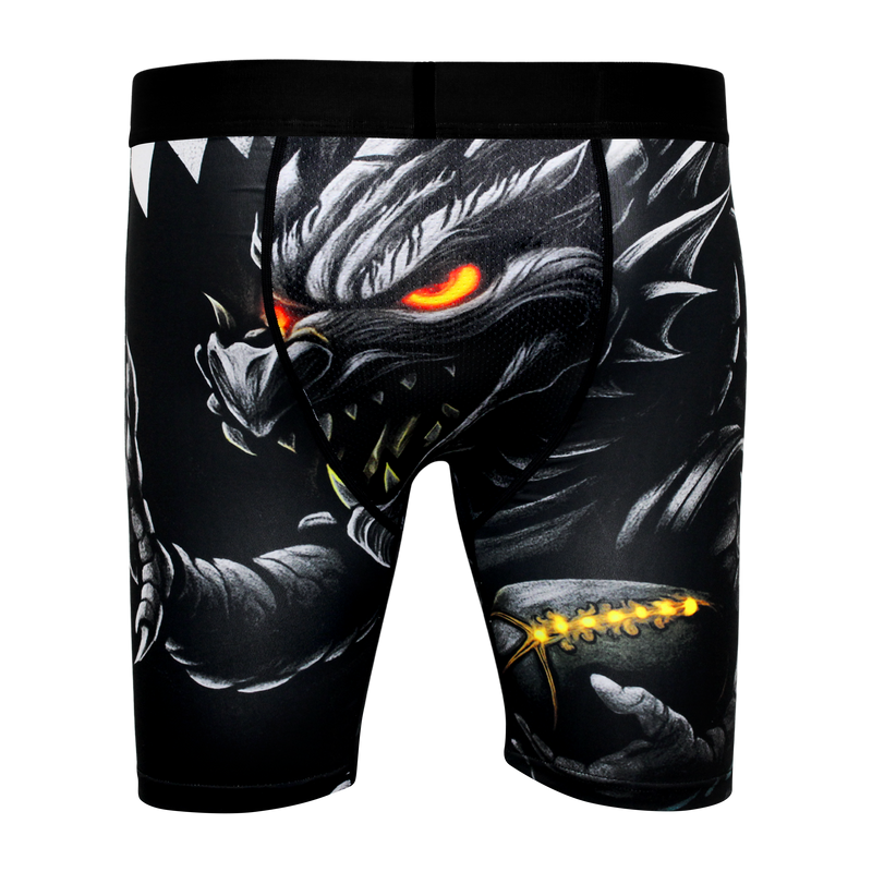Dragonball – Controlled Fury
